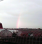 20081009-00.jpg