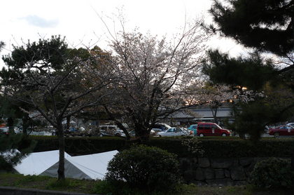 20090402-00.JPG
