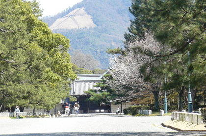 20090402-07.JPG