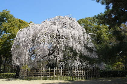 20090402-08.JPG