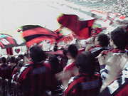 20090430-01.jpg