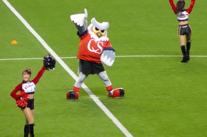 20090608-02.JPG