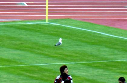 20090719-40.jpg