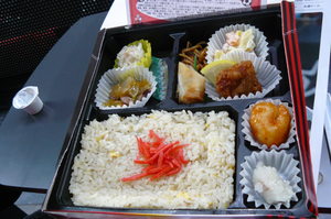 20100411-02.JPG