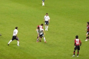 20100411-15.JPG