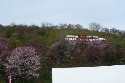 20100517-02.JPG