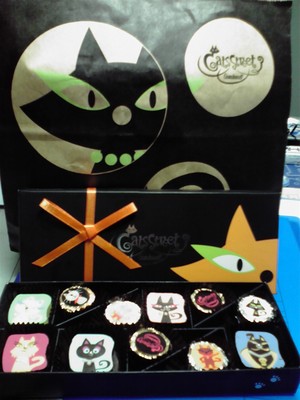 20110212-00.jpg