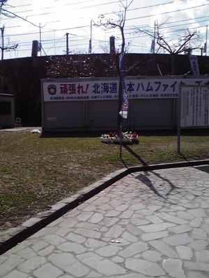 20110226-03.jpg