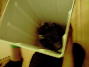 20110226-05.jpg