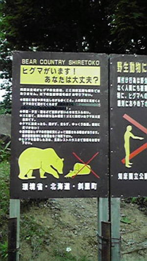 20110813-01.jpg