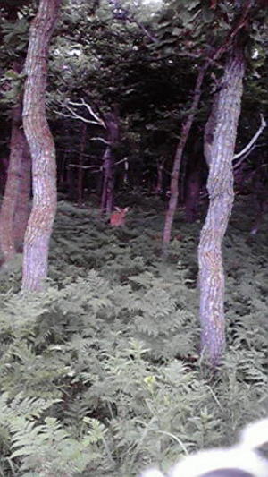 20110813-02.jpg