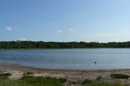 20110813-11.JPG