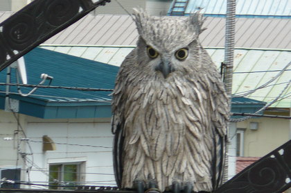 20110815-04.JPG