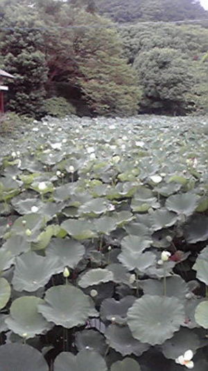 20110828-09.jpg