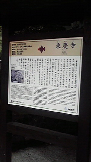 20110828-15.jpg