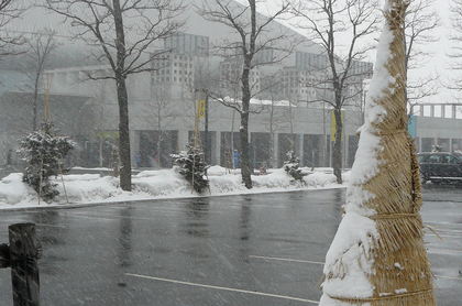 20120325-00.JPG