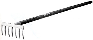 20100127-01.jpg