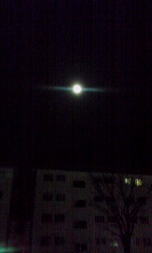 20100426-00.jpg