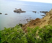 海岸