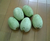 漬物メロン