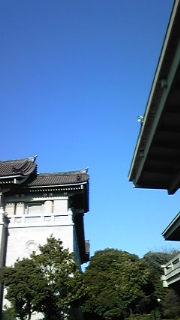 090206_142622_ed.jpg