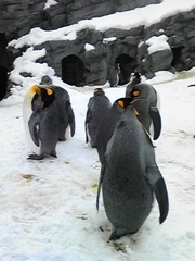 20090301-05.JPG