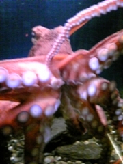 20090301-07.JPG