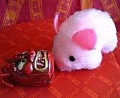 20090329-02.JPG