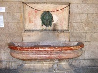 20100504-16.jpg