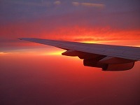 20100504-31.jpg