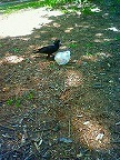 20100607-10.jpg