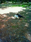 20100607-11.jpg
