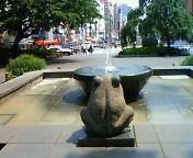 NEC_8558.jpg