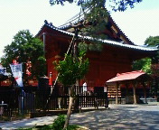 NEC_8560.jpg