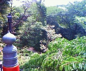 NEC_8563.jpg