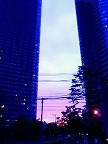 20100612-02.jpg