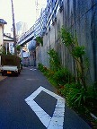 20100612-03.jpg