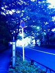 20100612-05.jpg