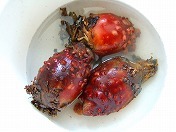 20100612-13.jpg