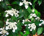 20100619-01.jpg