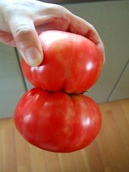 20100805-00.jpg