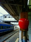 201008110547000.jpg