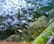 201008111048000.jpg