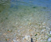 201008131348001.jpg