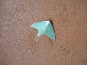 20100815-15.jpg