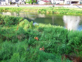 20100815-16.jpg