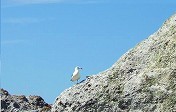 20100816-01.jpg