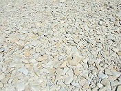 20100816-02.jpg