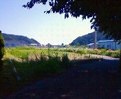 20100816-05.jpg