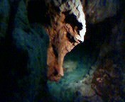 20100816-09.jpg